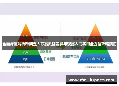 全面深度解析欧洲五大联赛风格差异与观赛入门实用全方位攻略指南