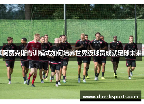 阿贾克斯青训模式如何培养世界级球员成就足球未来 阿贾克斯青训模式如何培养世界级球员成就足球未来